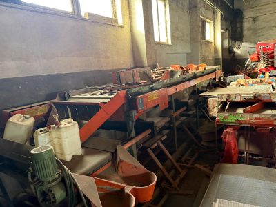 Sortownik do cebuli ,ziemniaków 3 Frakcje + dwie wago-pakowaczki w komplecie.